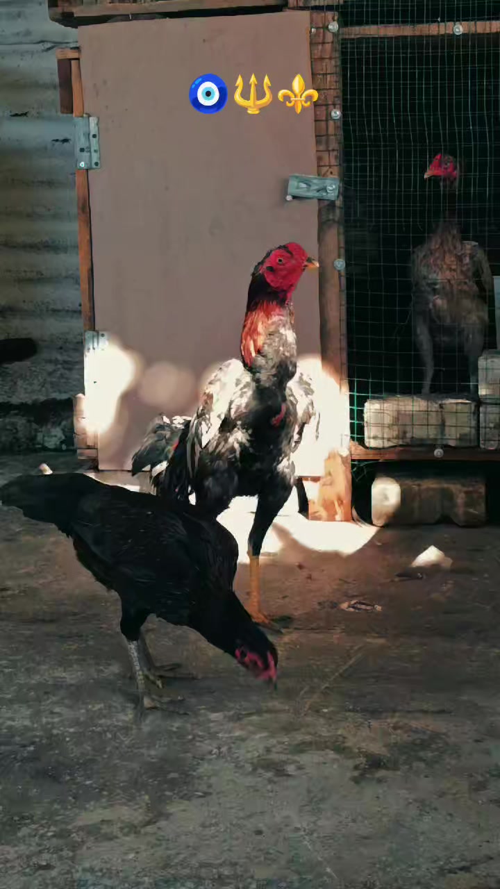 @G&uuml;rkan Beytorun