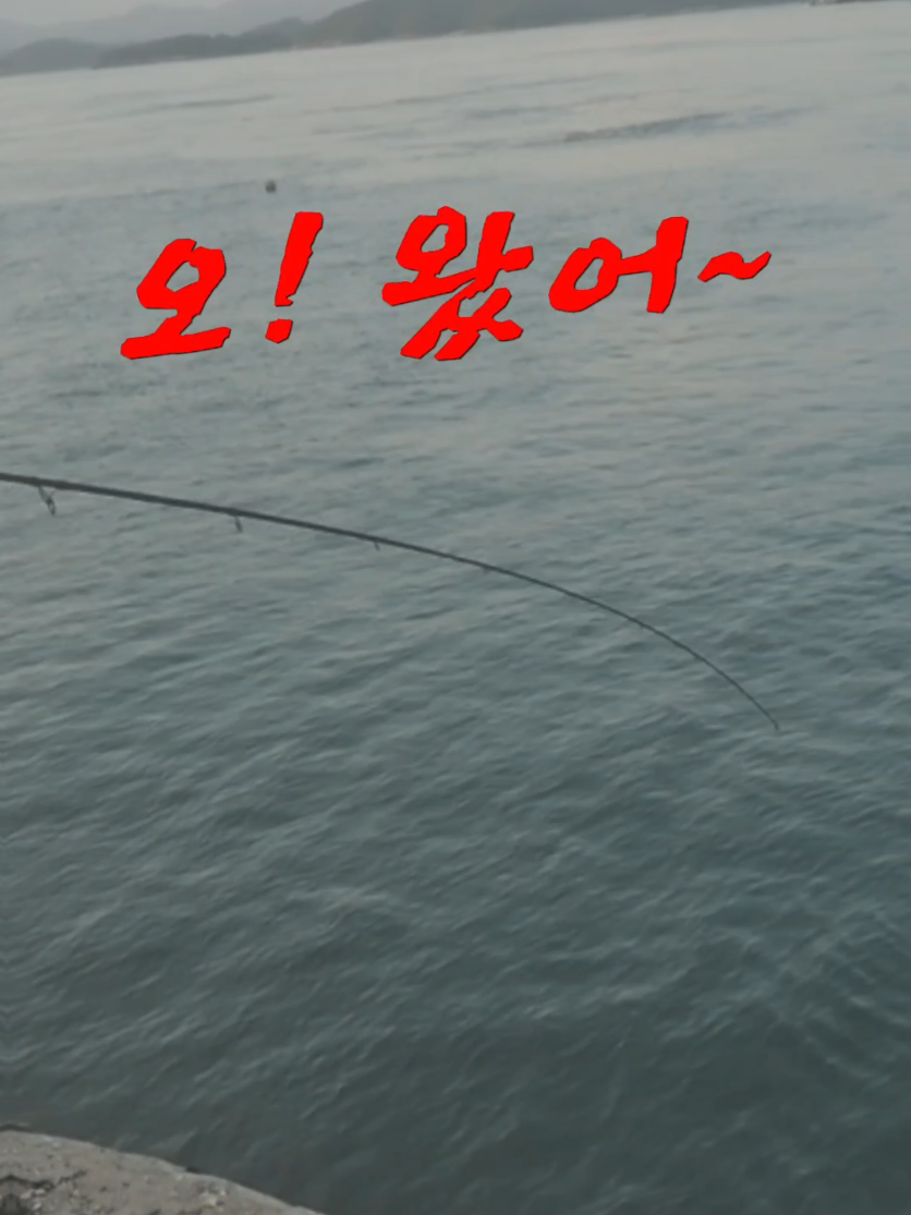 @빨간모자낚시