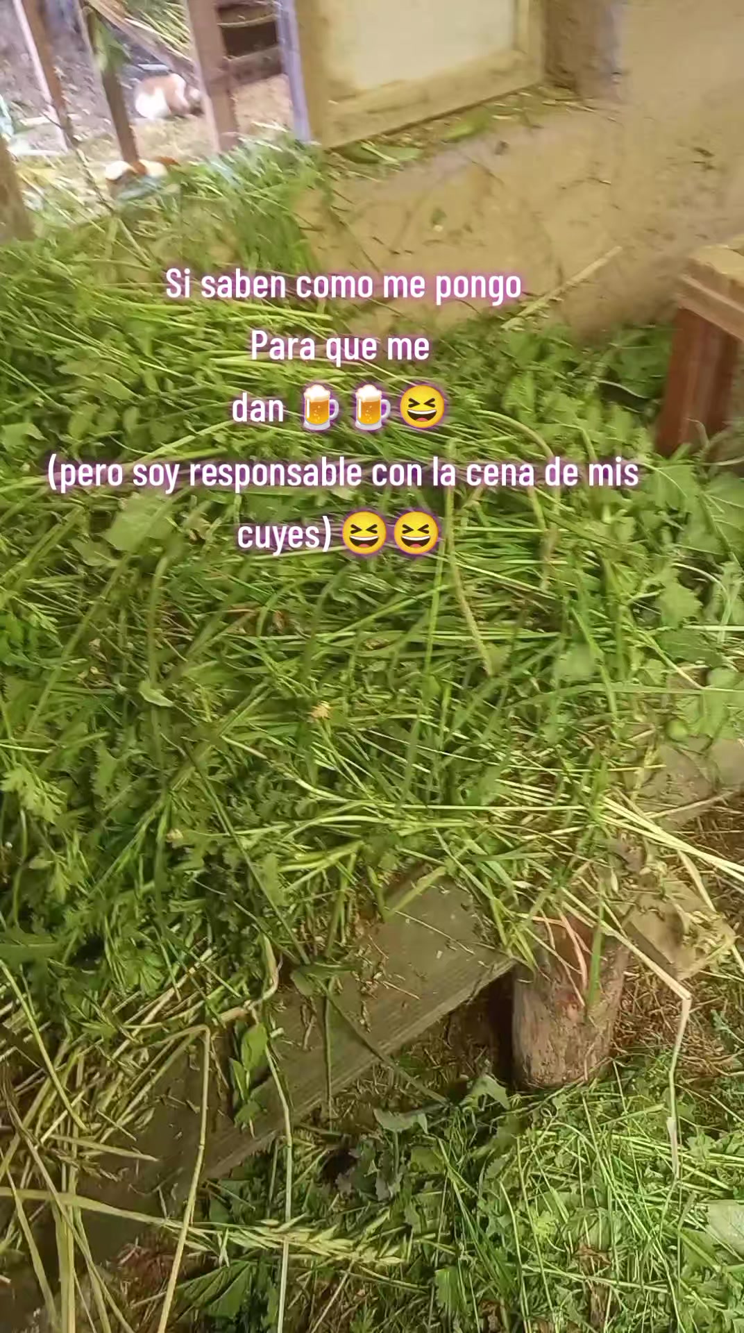 @bertha๐๐๐ค
