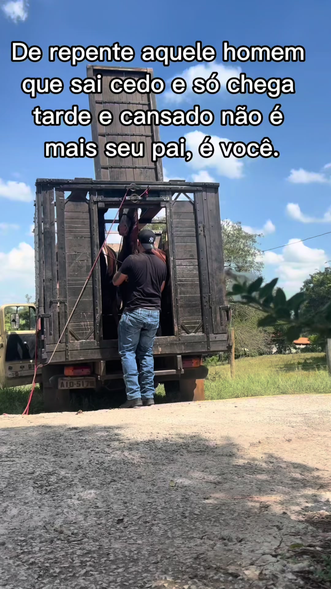 @Luis 🌾 🇧🇷  🐜