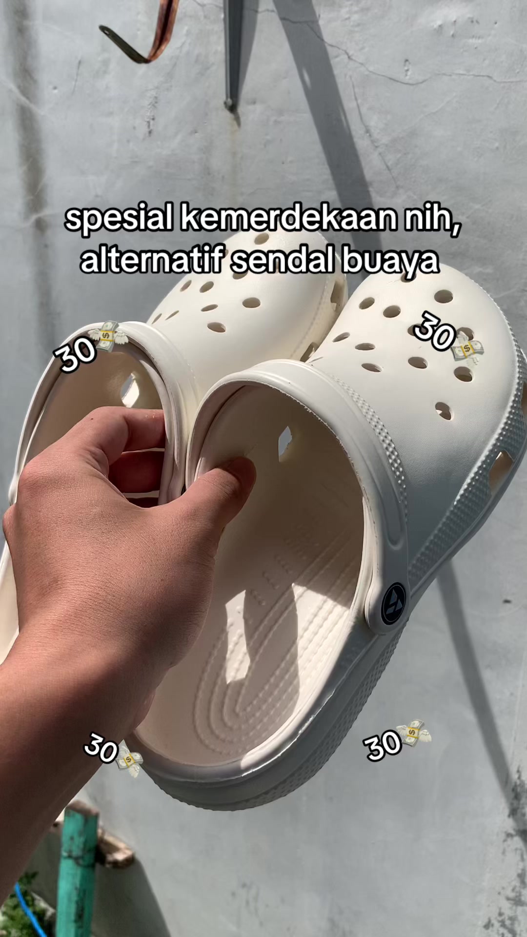 @LekSur🛒🛍