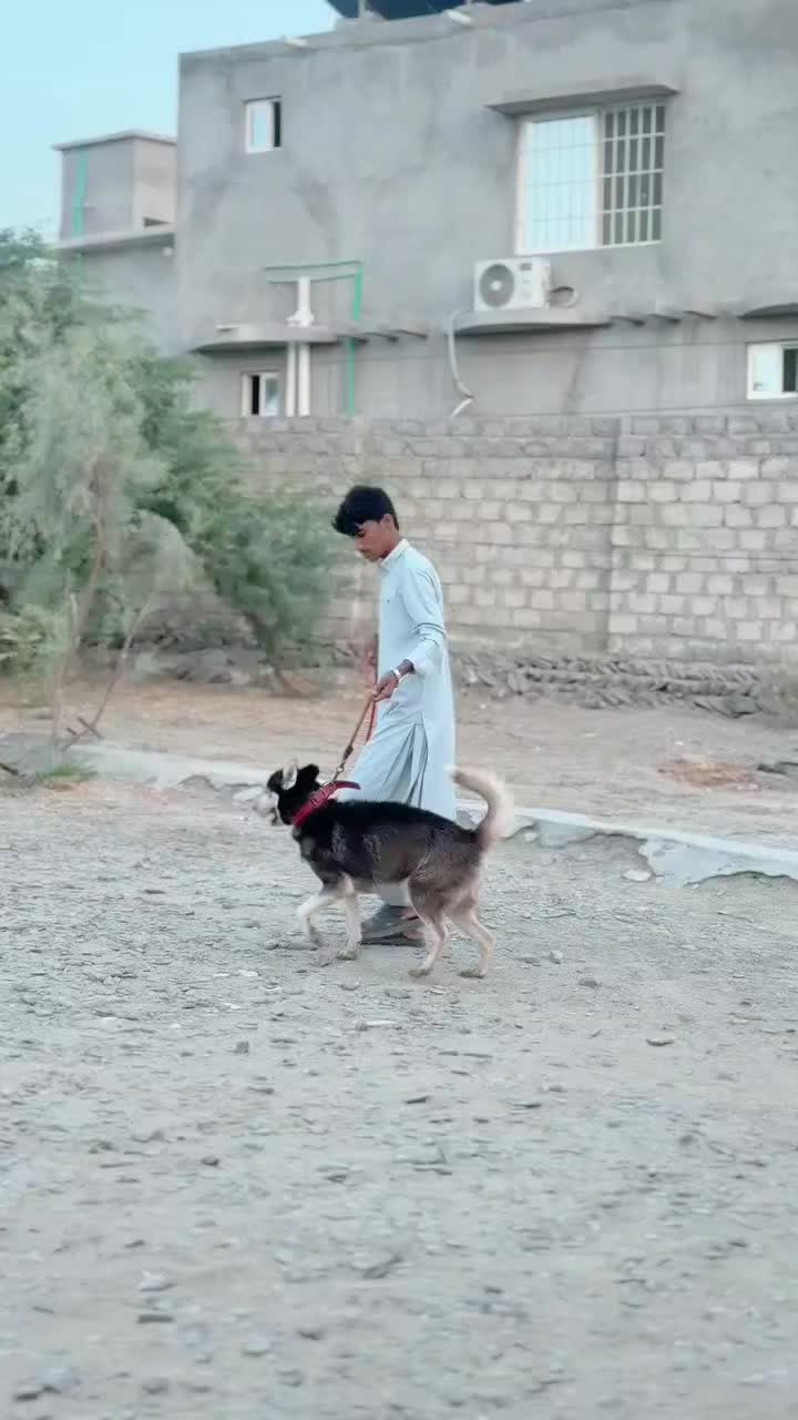 @AJ 007🕊️🖇️