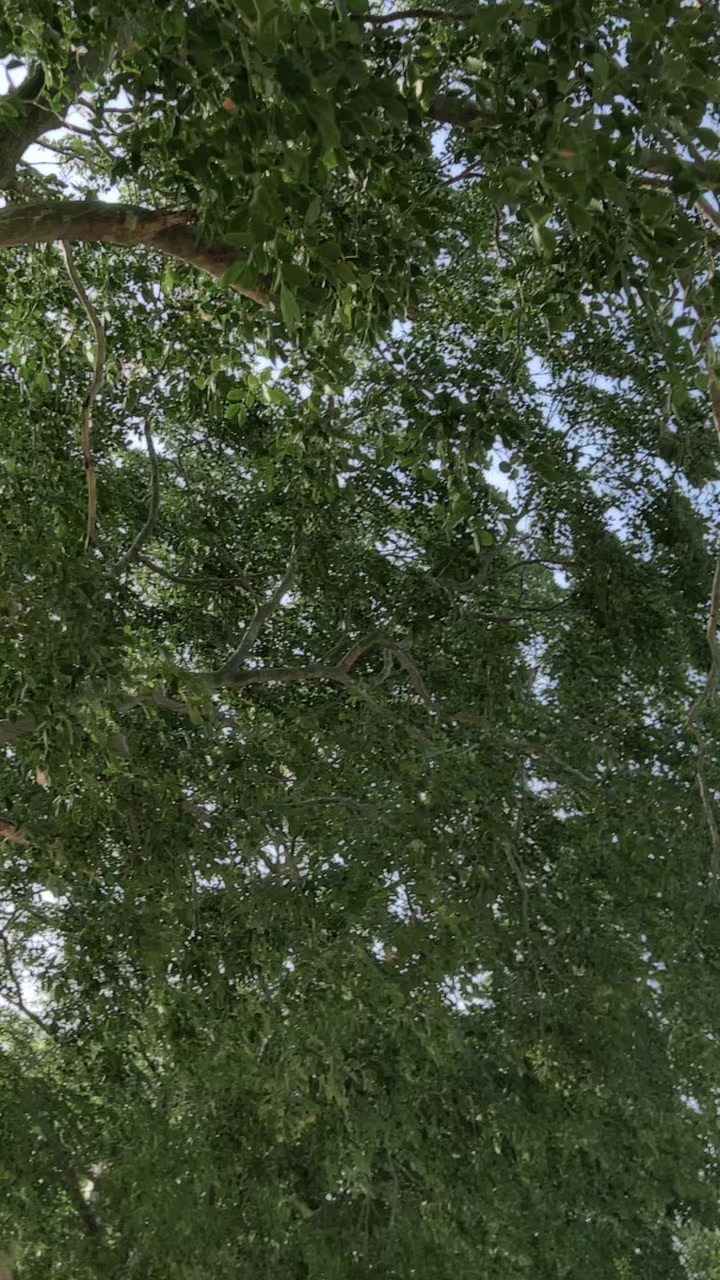 @فیضان جتوئی۔ 💕💕