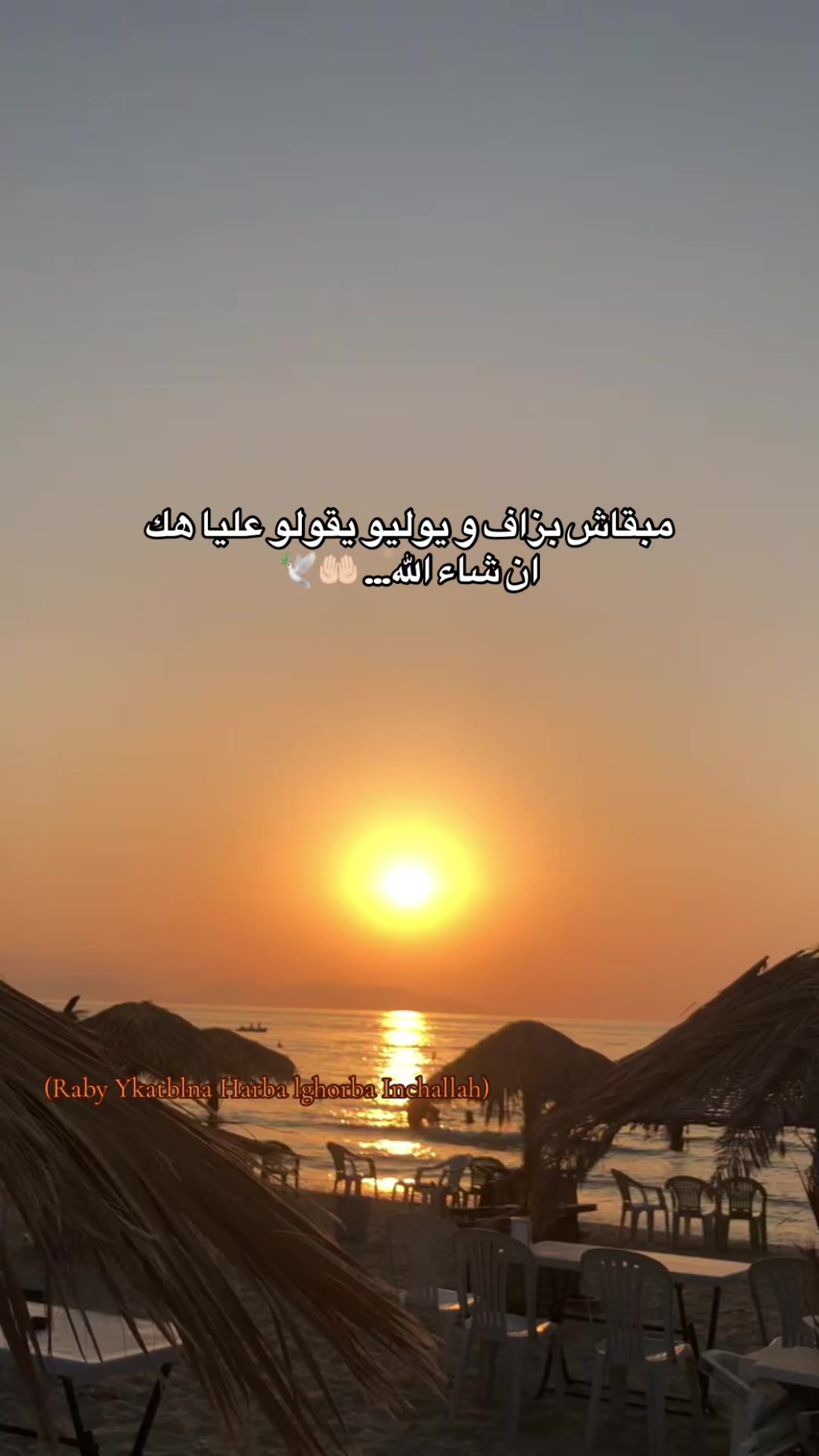 @🕊️
