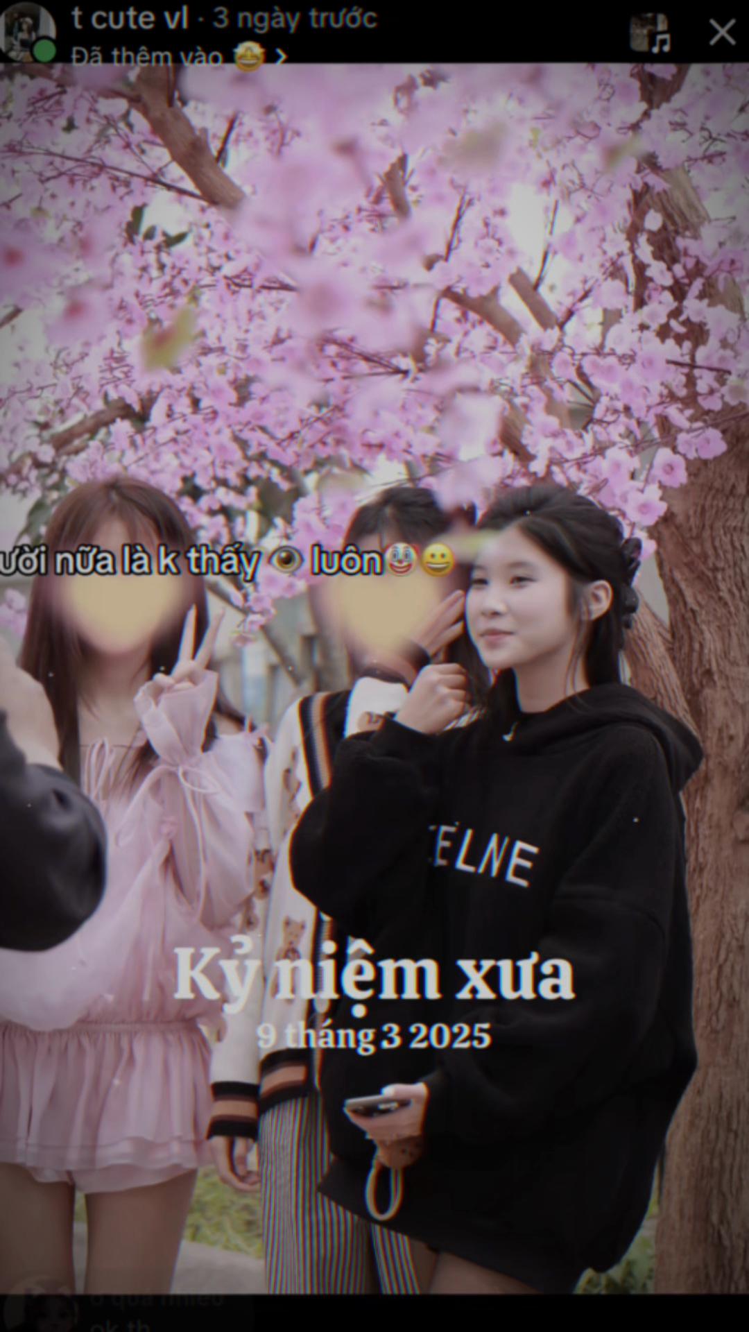 @t cute vl