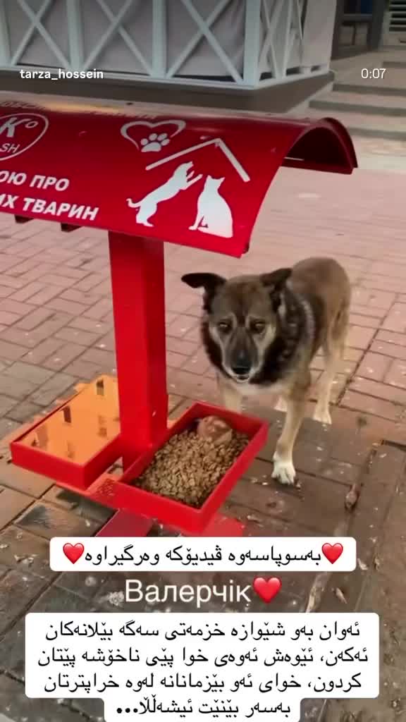 @تەرزە حسێن
