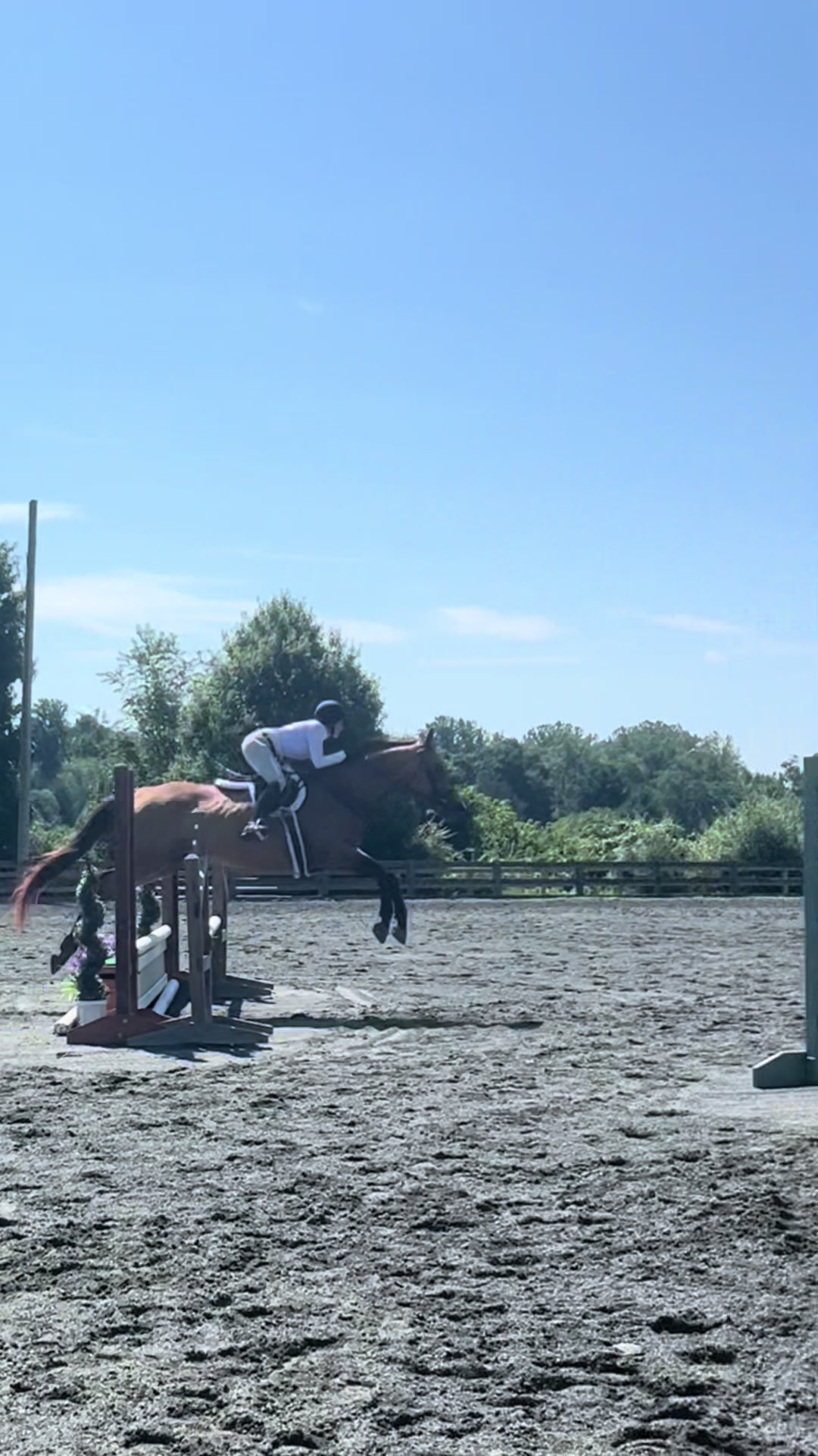@Aftyn 🐎