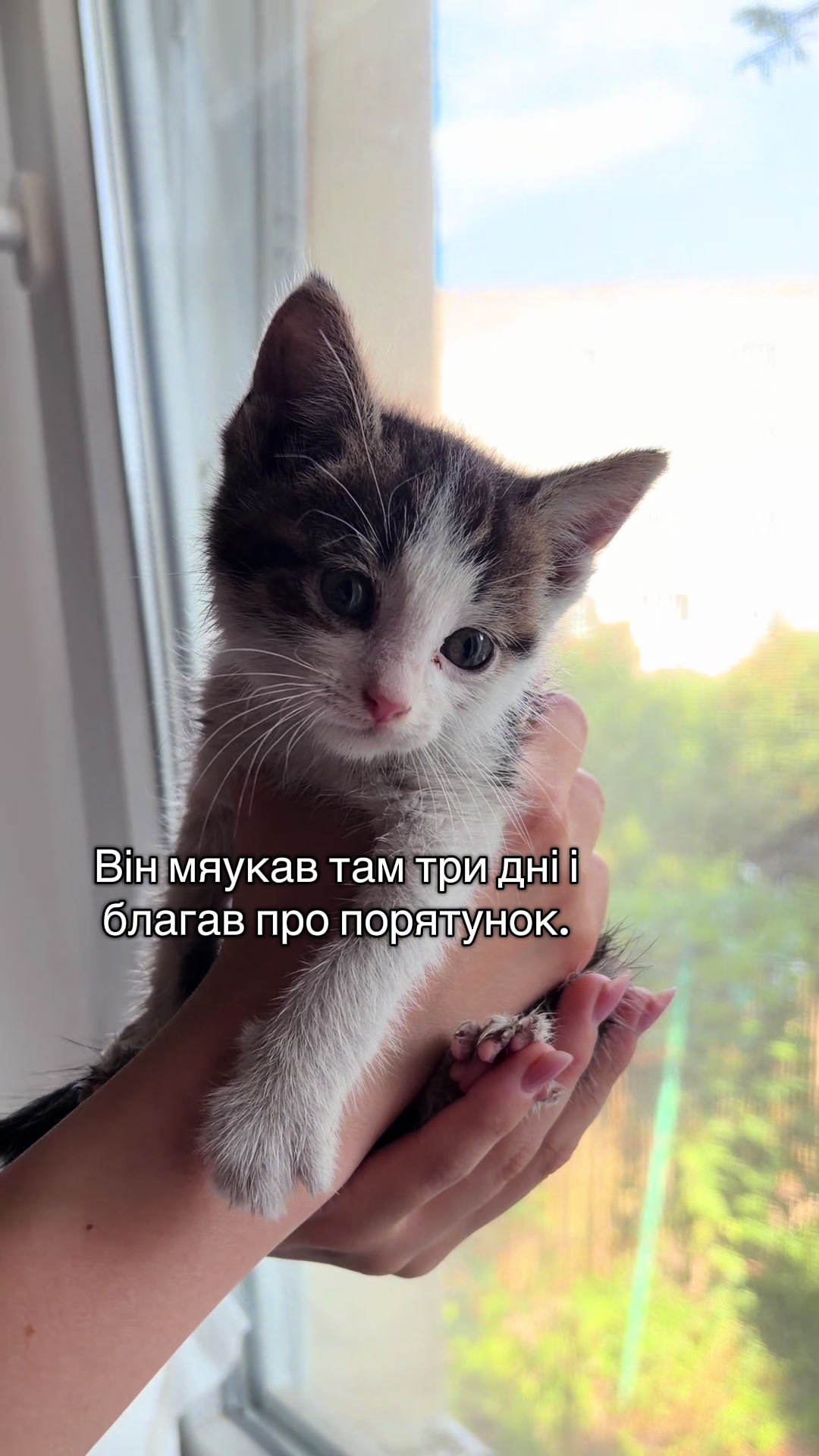 @Корнелія Удовенко