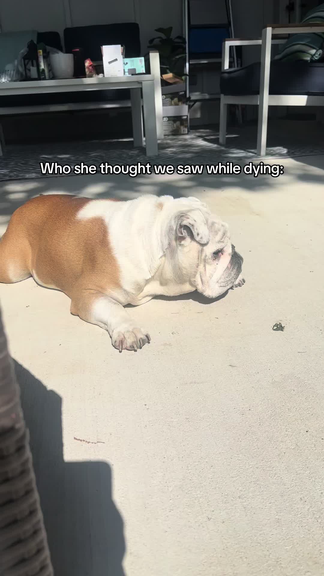 @Kenzie