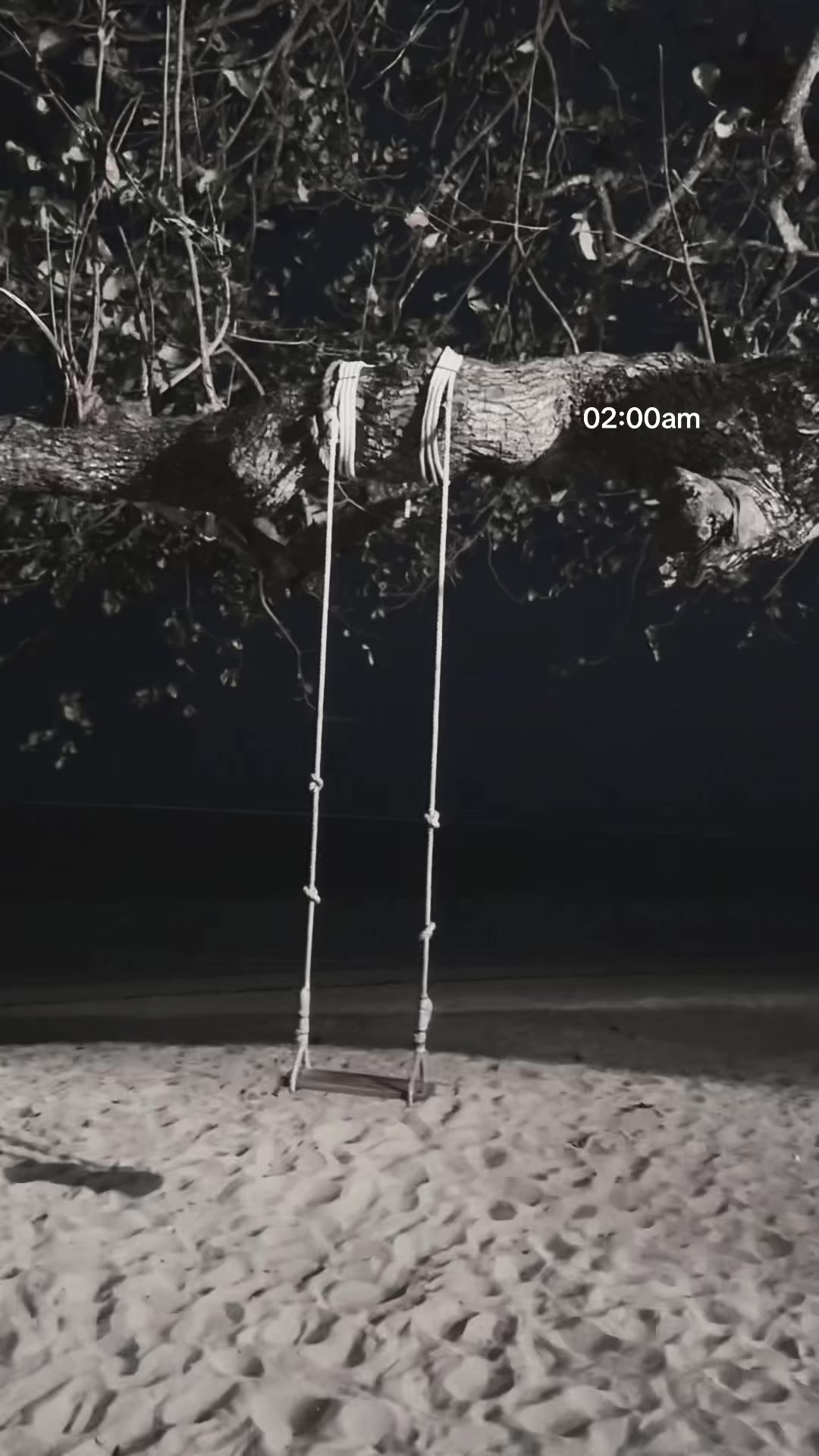 @𝕬𝖞𝖚𝖘𝖚𝖆𝖗𝖉𝖎𝖆𝖓𝖎_