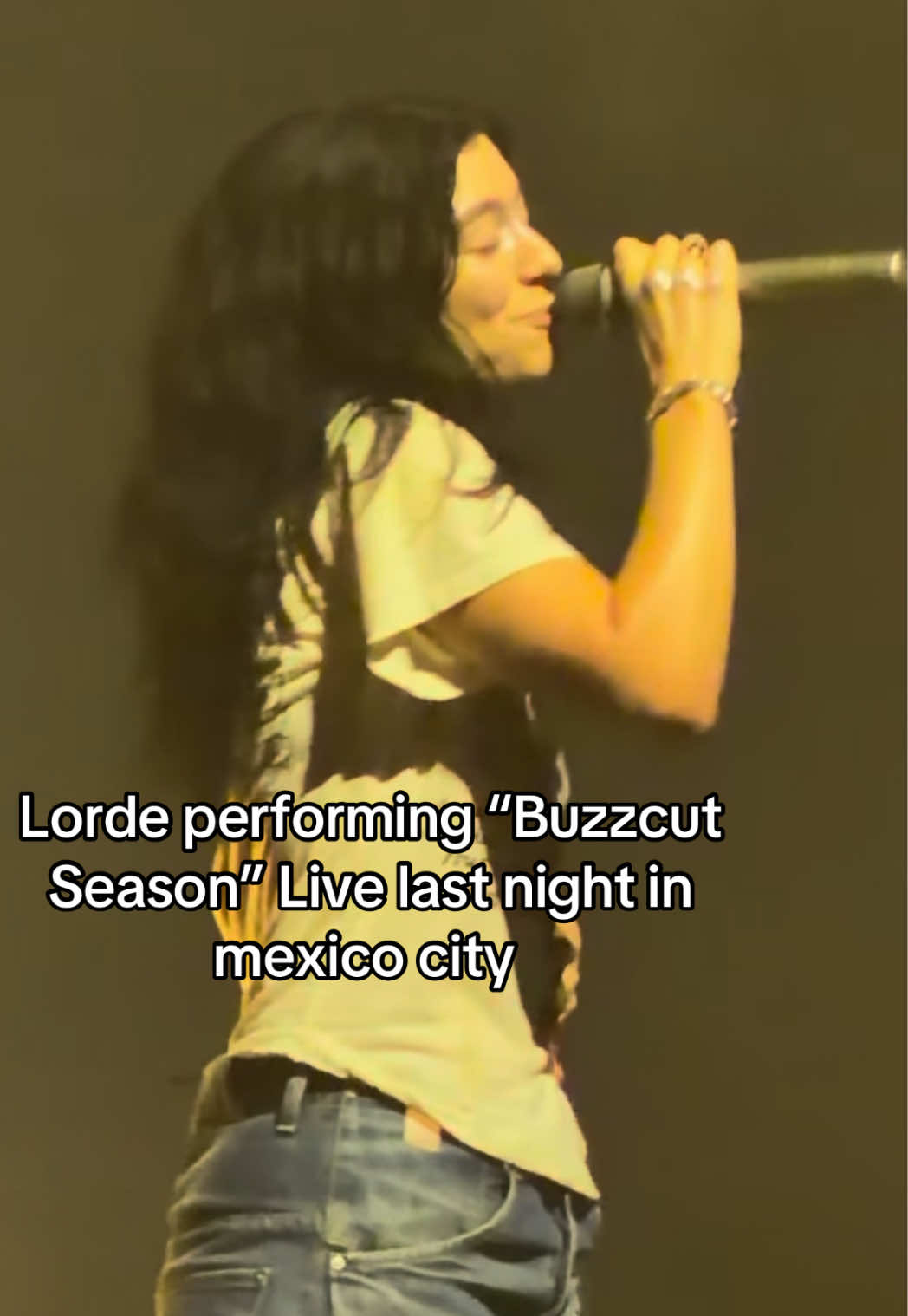 @Lorde Fanpage