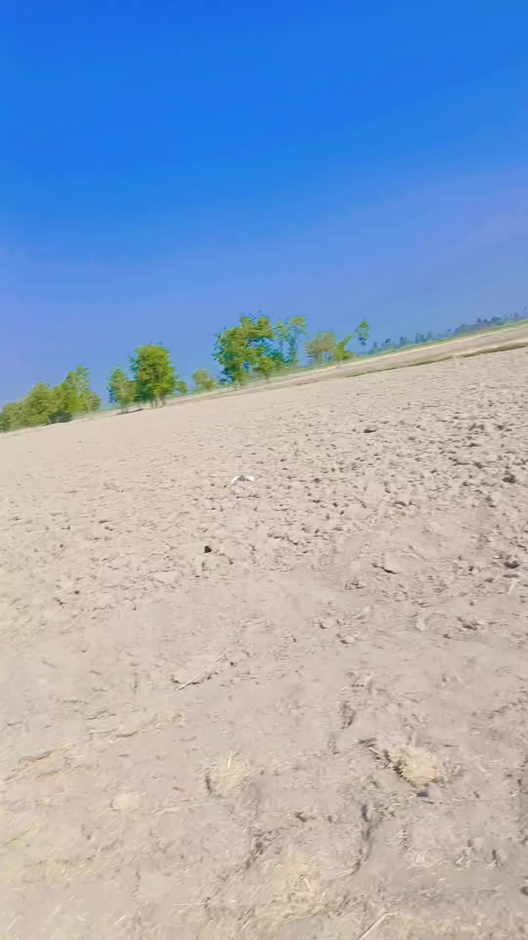 @Nadeem248