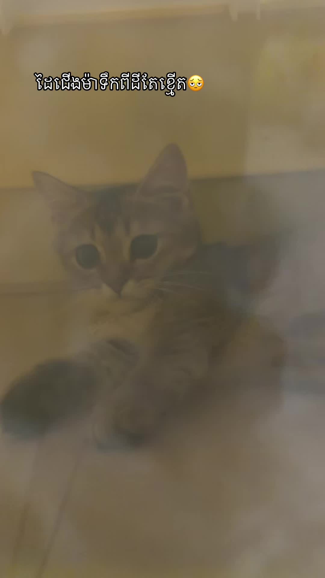 @๐ฎ๐๐๐ ๐๐๐๐