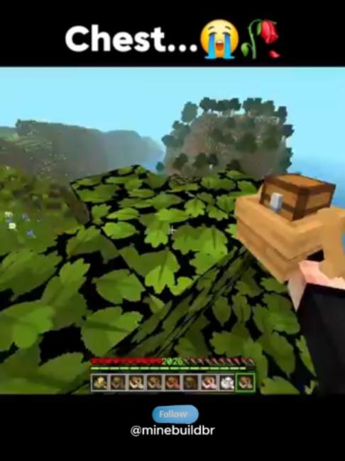 @Minecraft BR