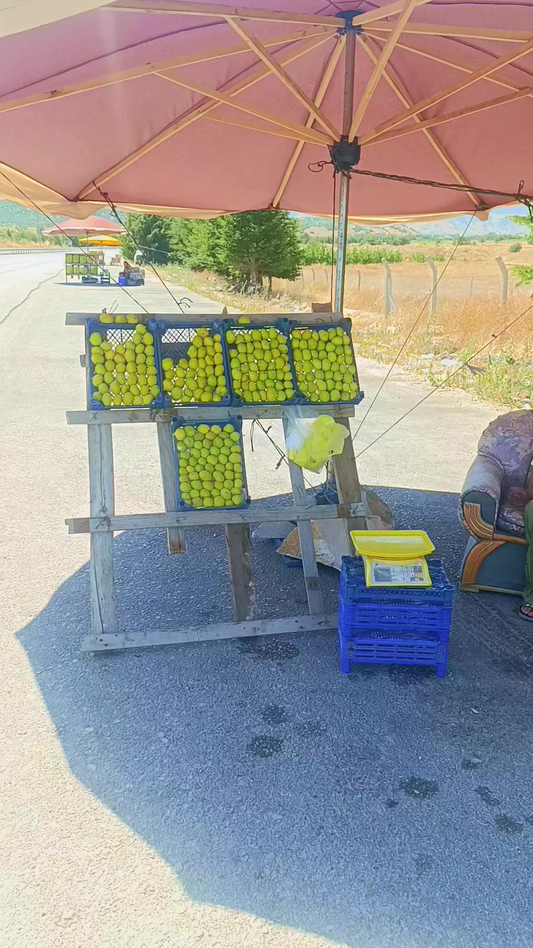 @D&ouml;nmez  Cengiz