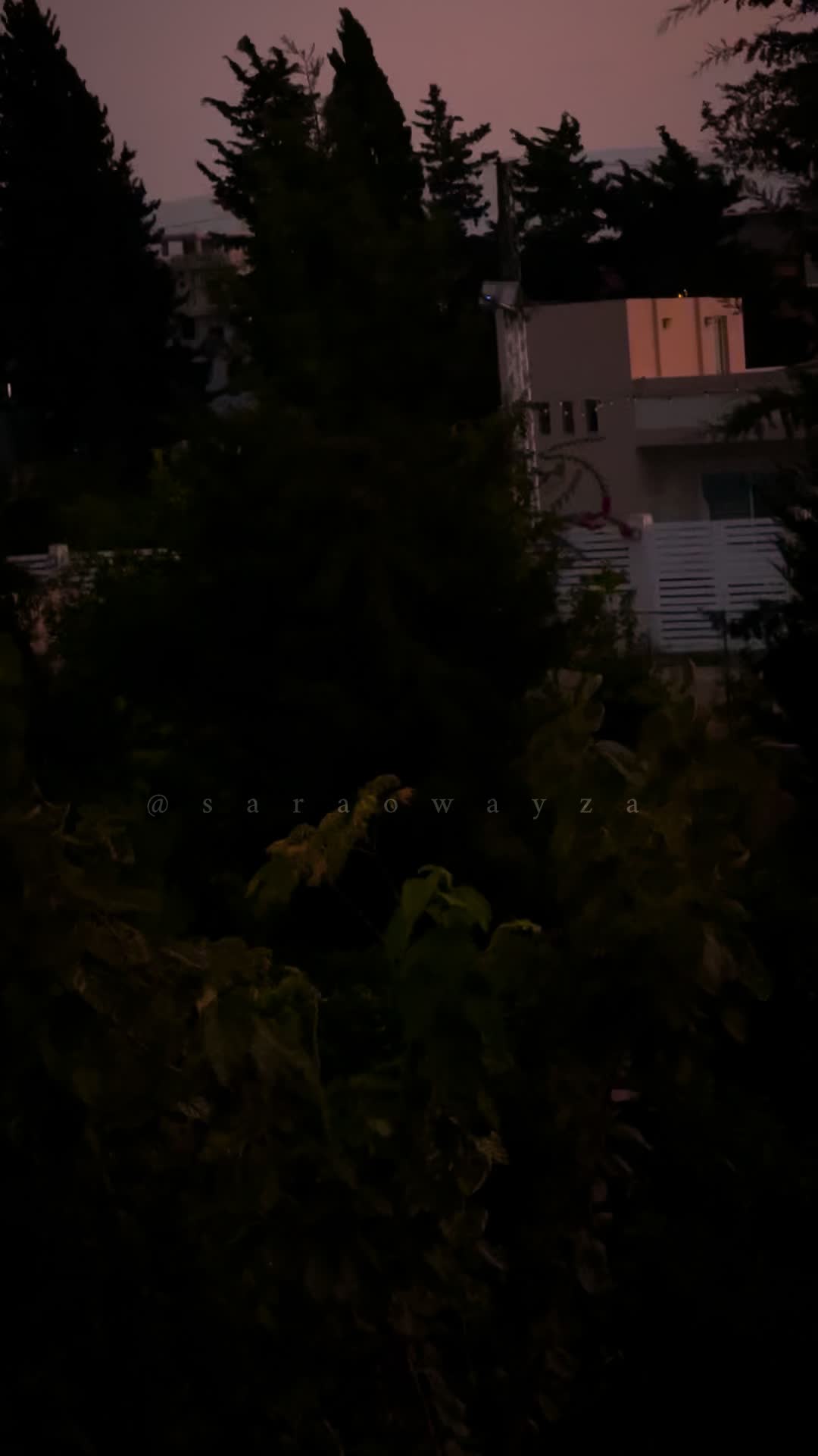 @༊෴✿سہارة✿〄