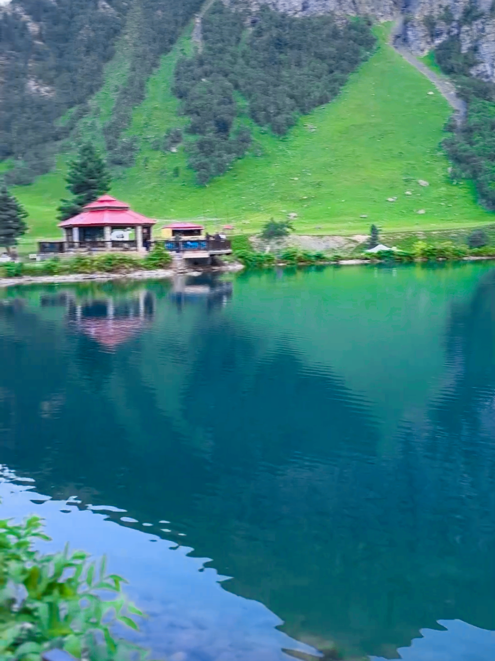 @DR.QAISAR KHATTAK