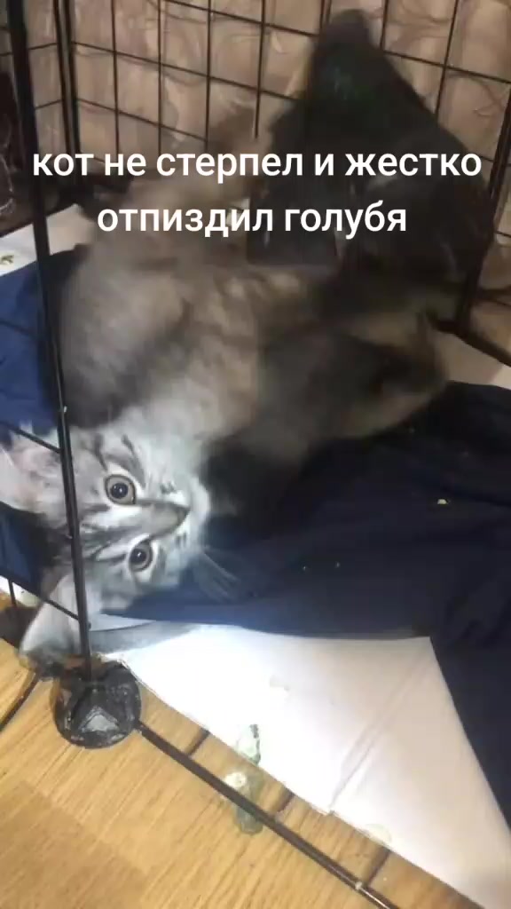 @Имя