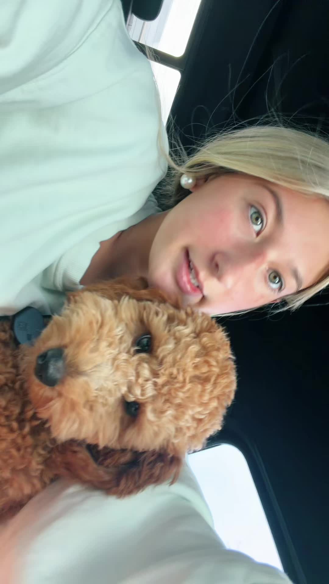 @notryaneroy
