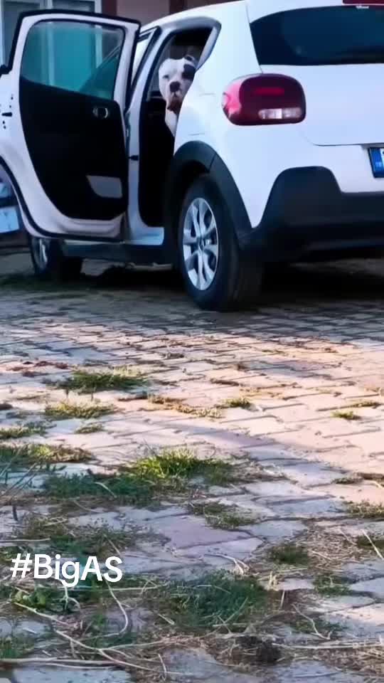 @İbrahim Şenol