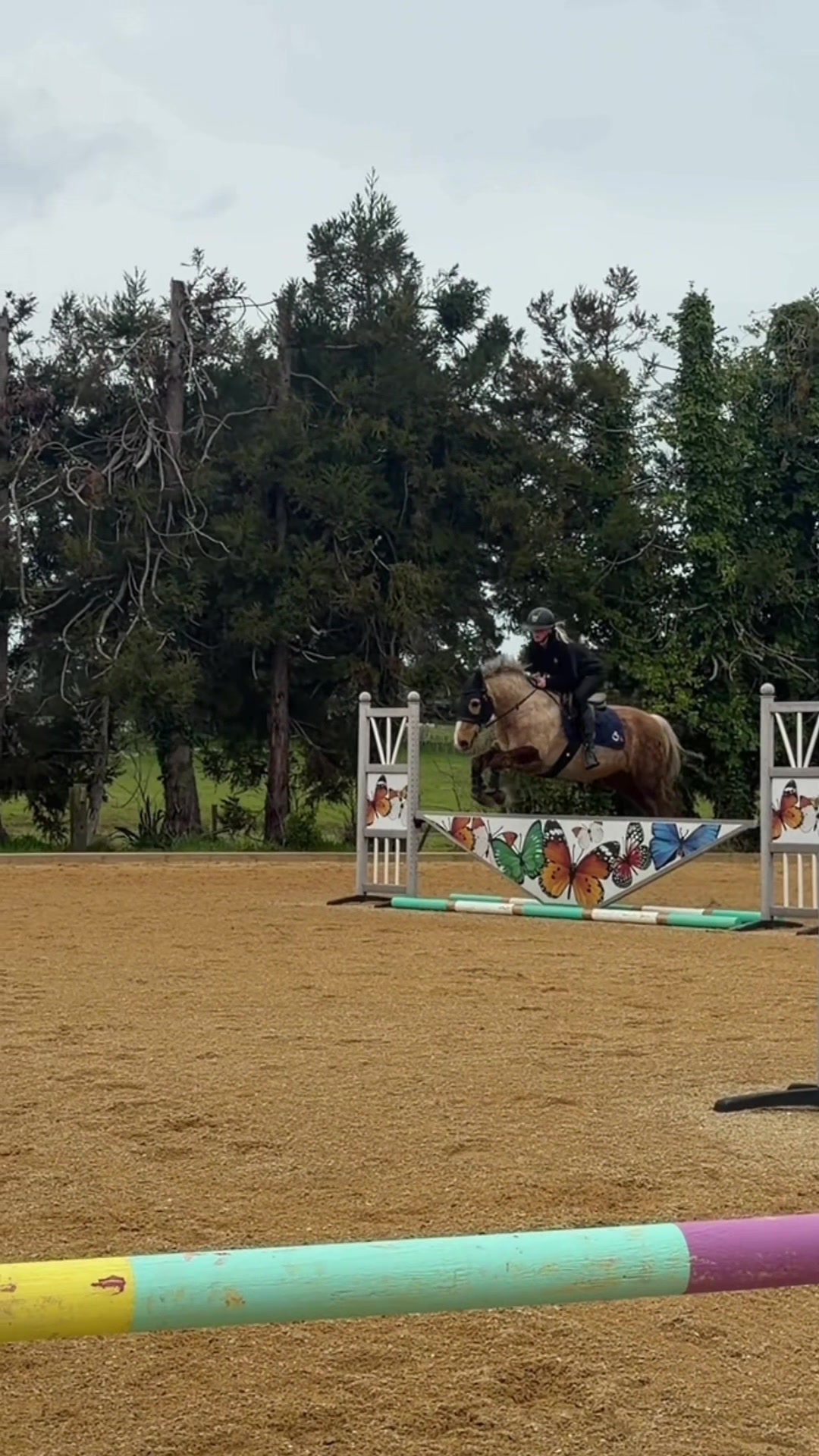 @Savanah_equestrian