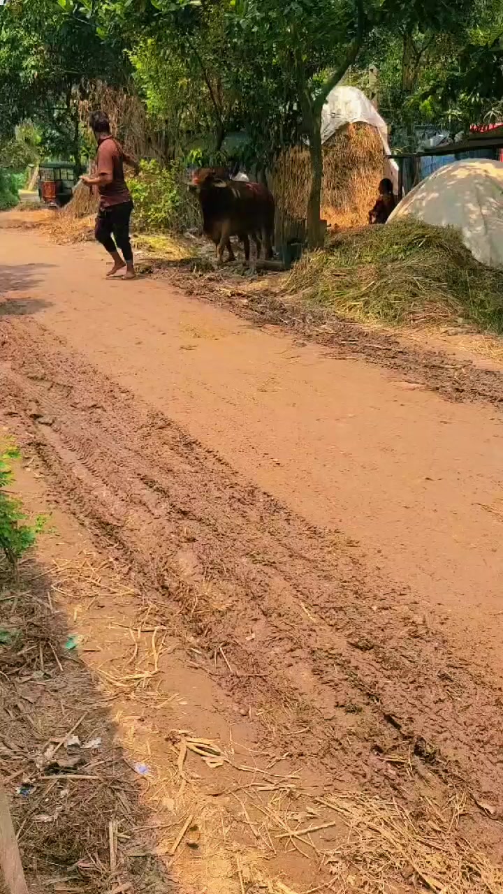 @❤️মায়াবতী 💌