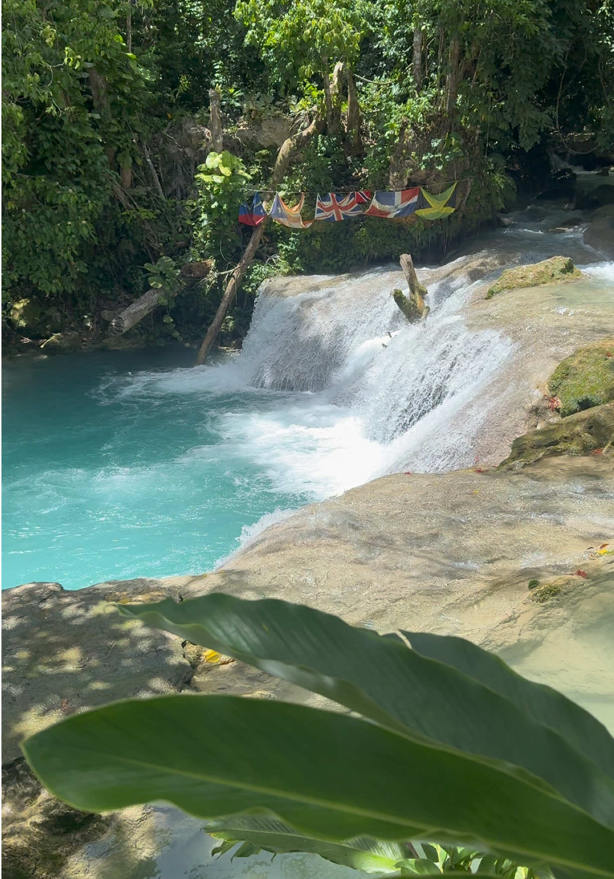 @CarvilleToursJamaica🇯🇲