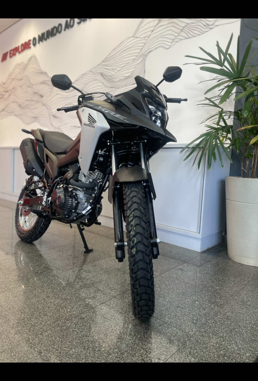 @Bianca Valentin honda