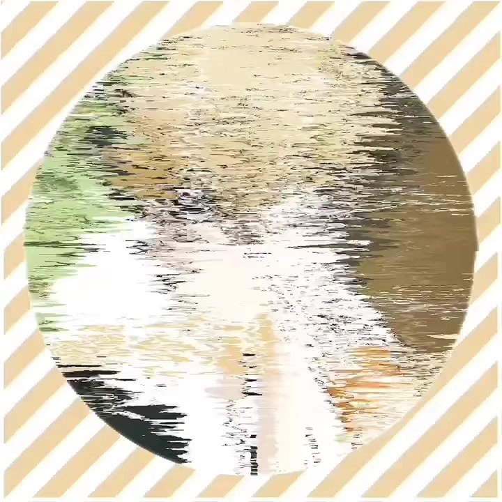 @ilovemangosboi6741