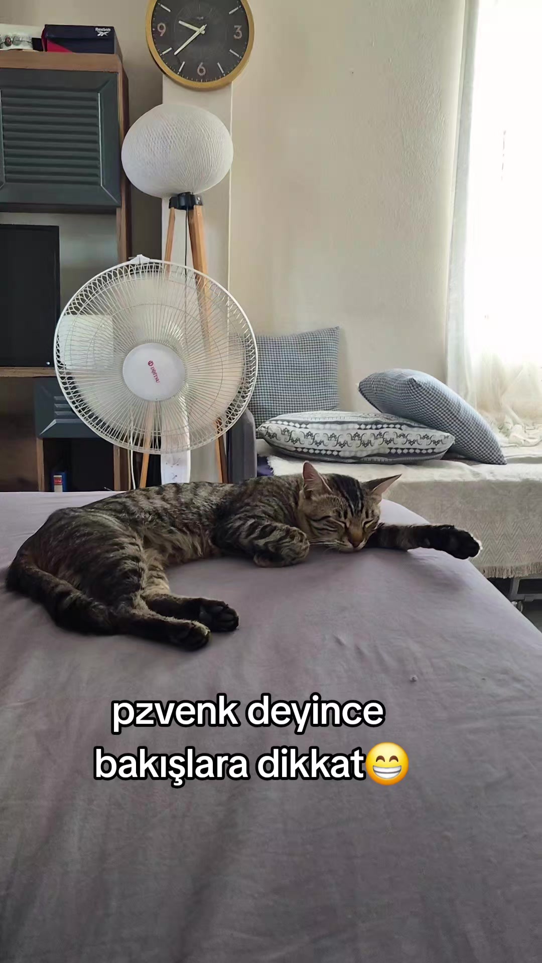 @kuzey