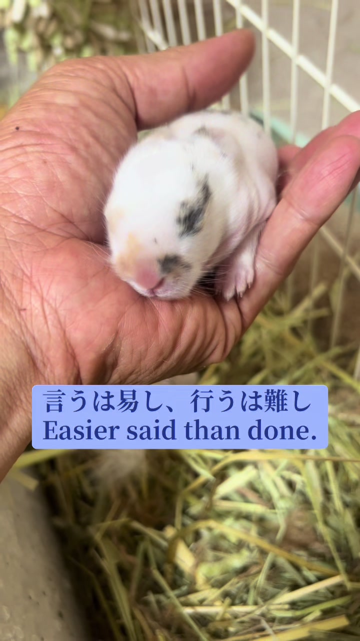 @billion_farm
