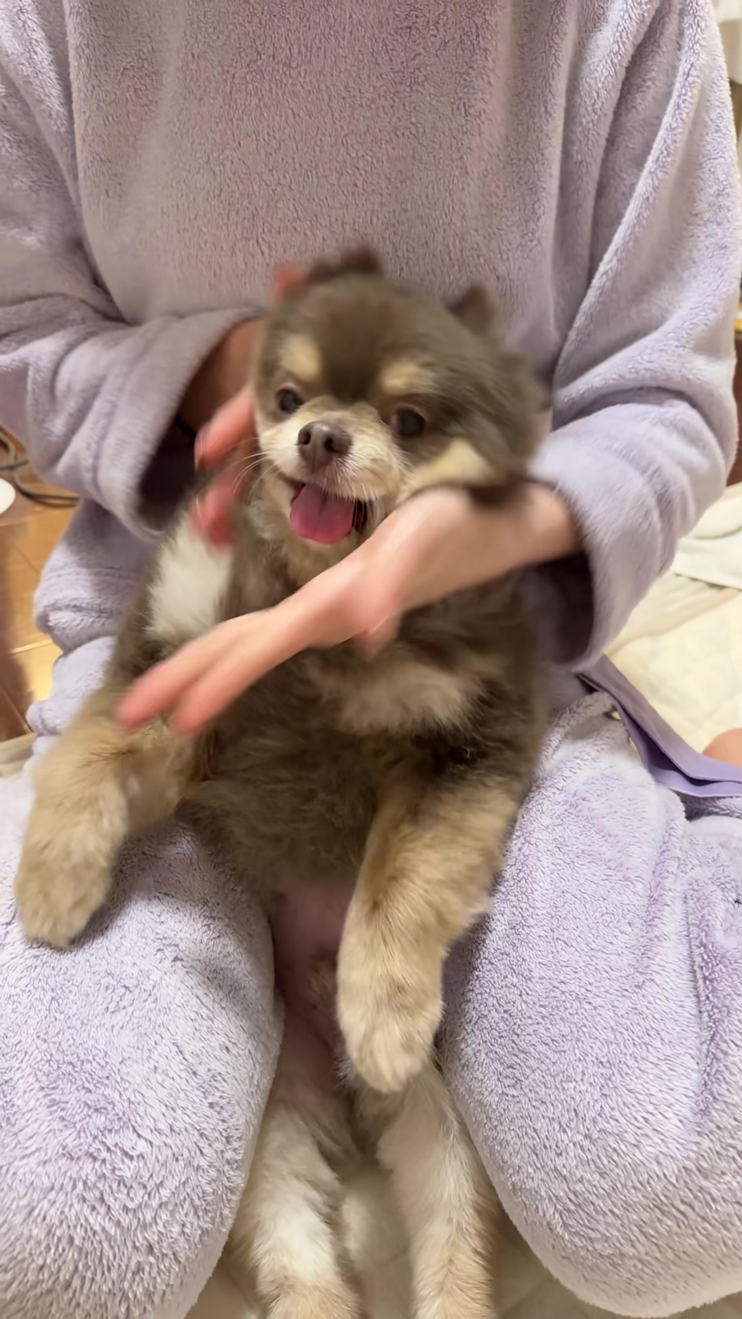 @チャック🐶