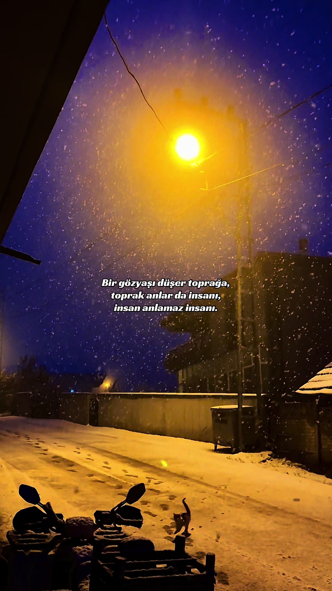@Enes Gen&ccedil;