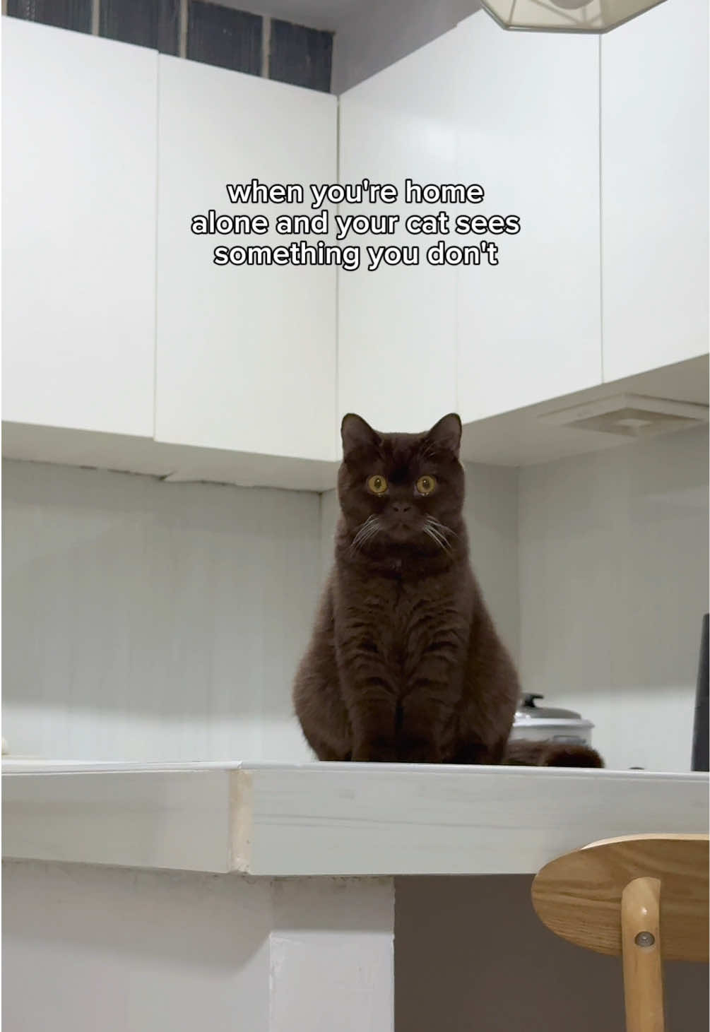 @TOFU