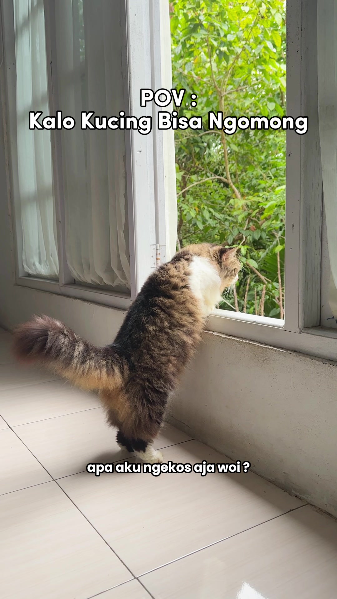 @Kooky & Family