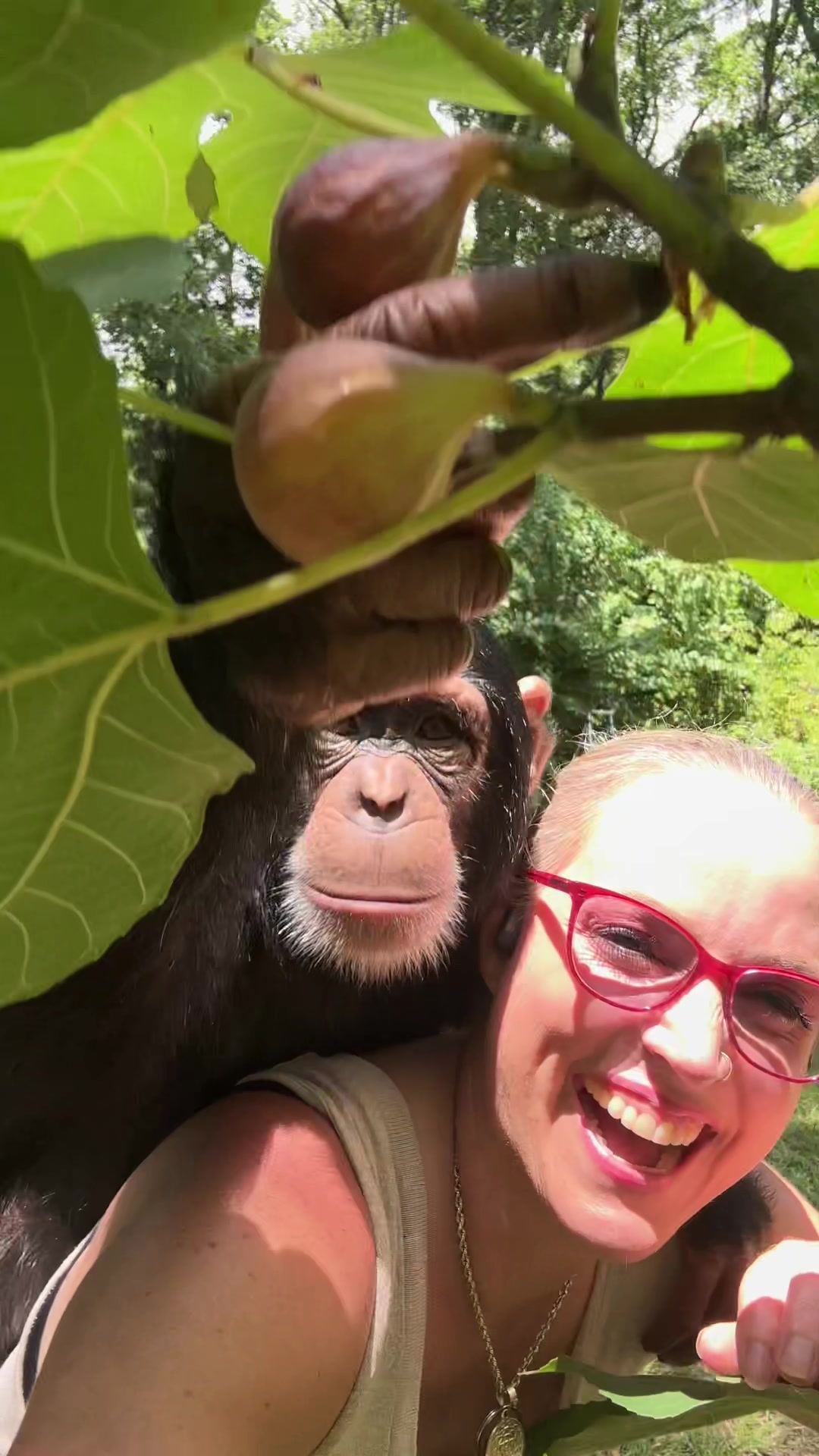 @Moksha
