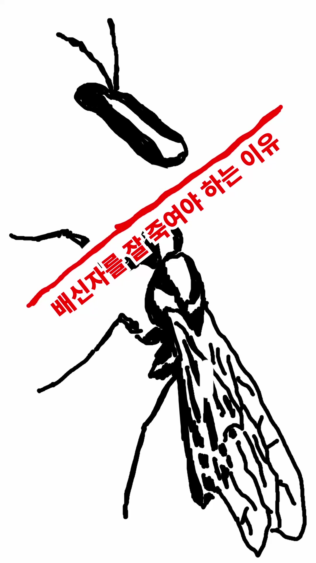 @여정 작가