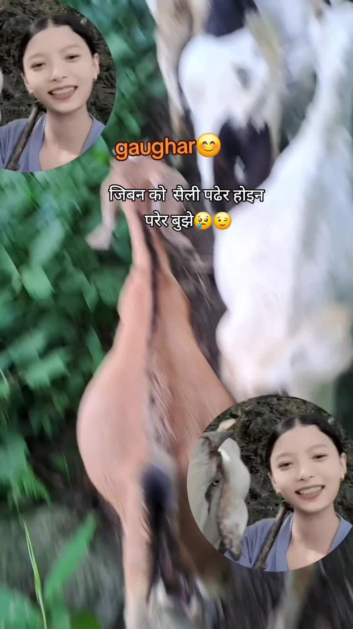 @प्रतीक्षा ठकुरी