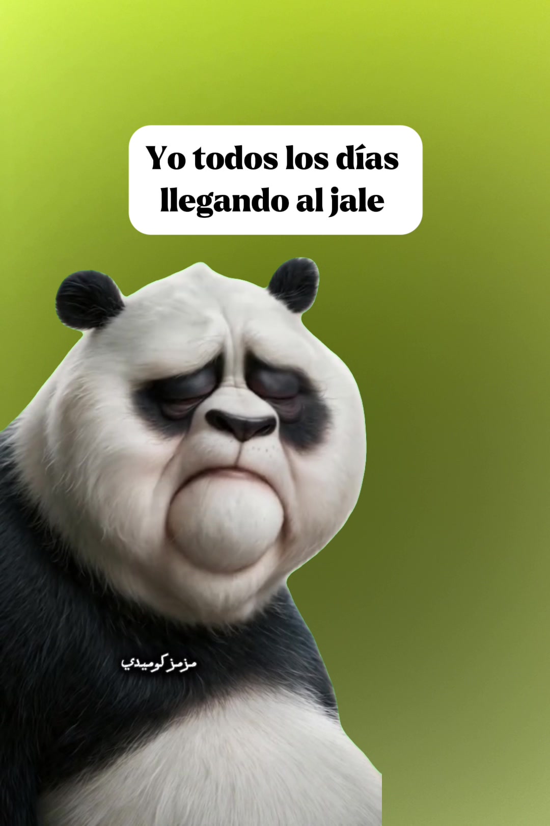 @Reynoso
