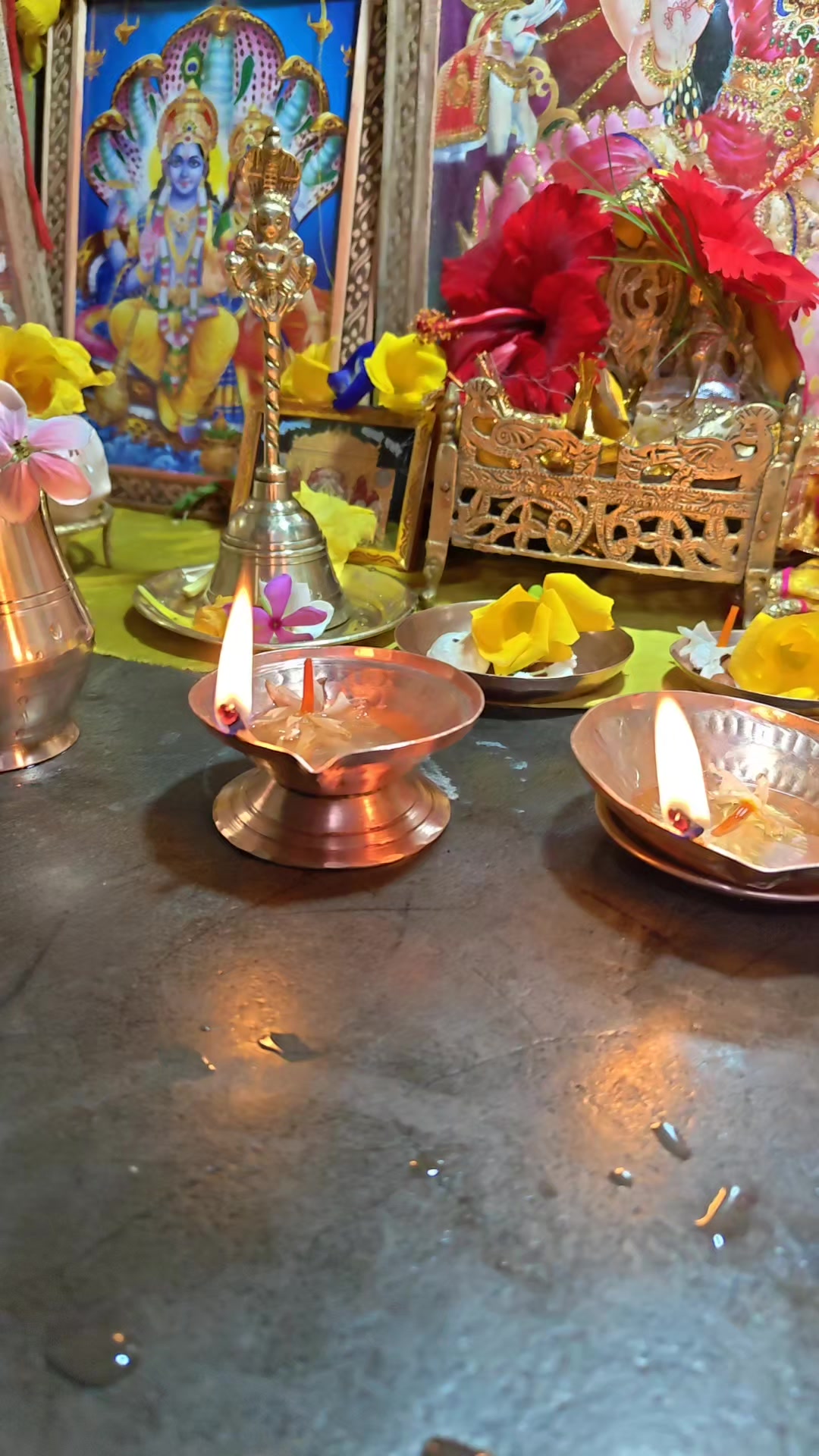 @Radhe Radhe 🙏🦚❤️