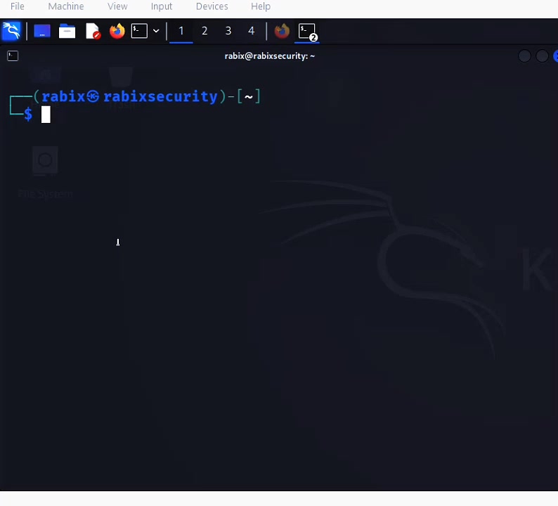 @RabiX Security