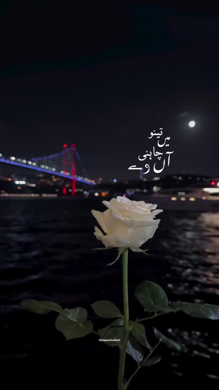 @Amna Mir❥