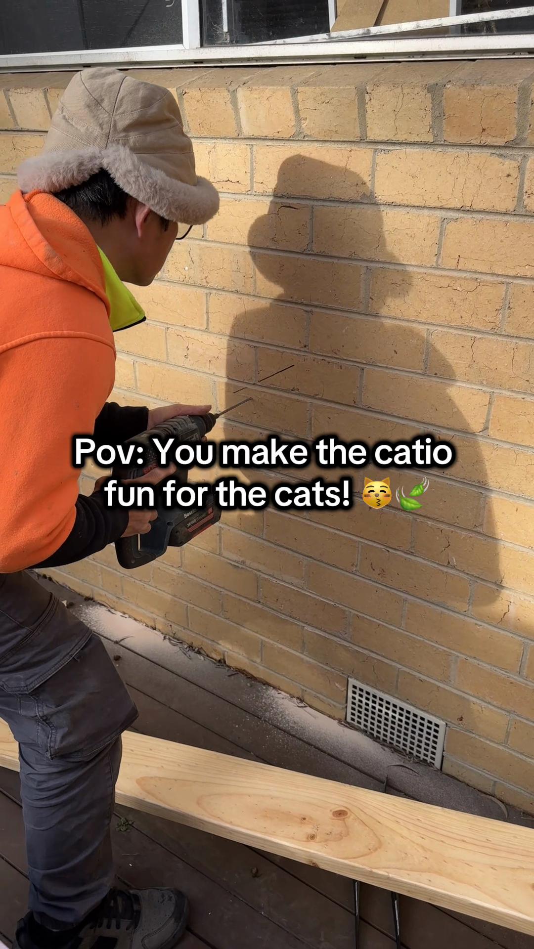 @Backyard Catio Builder