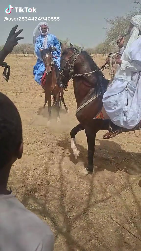 @Ibrahim🇹🇩🇱🇾🇯🇴