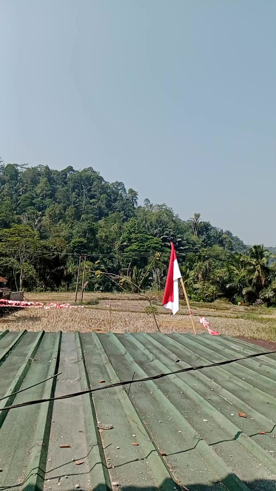 @Dari kontak anda