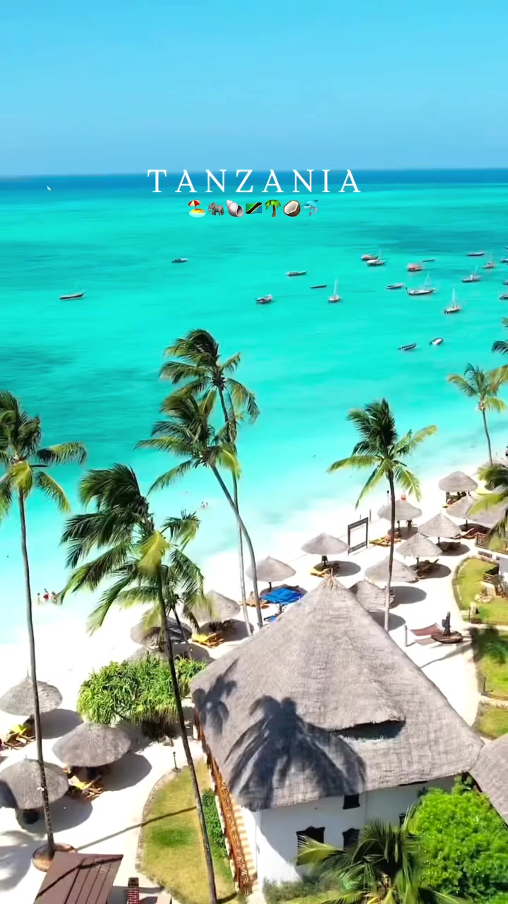 @Zanzibar 🇹🇿