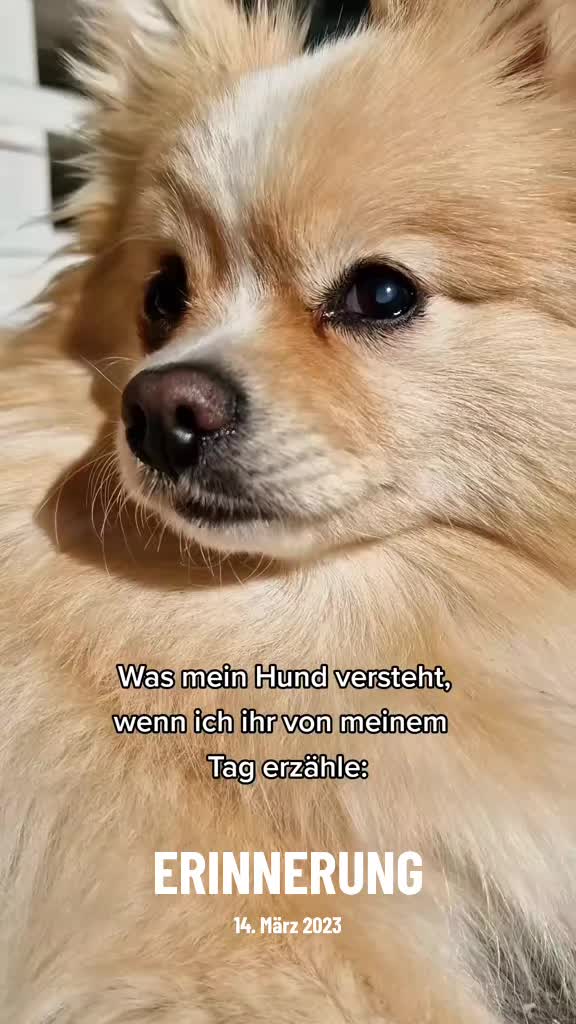 @Mias Spitze Welt 🫶