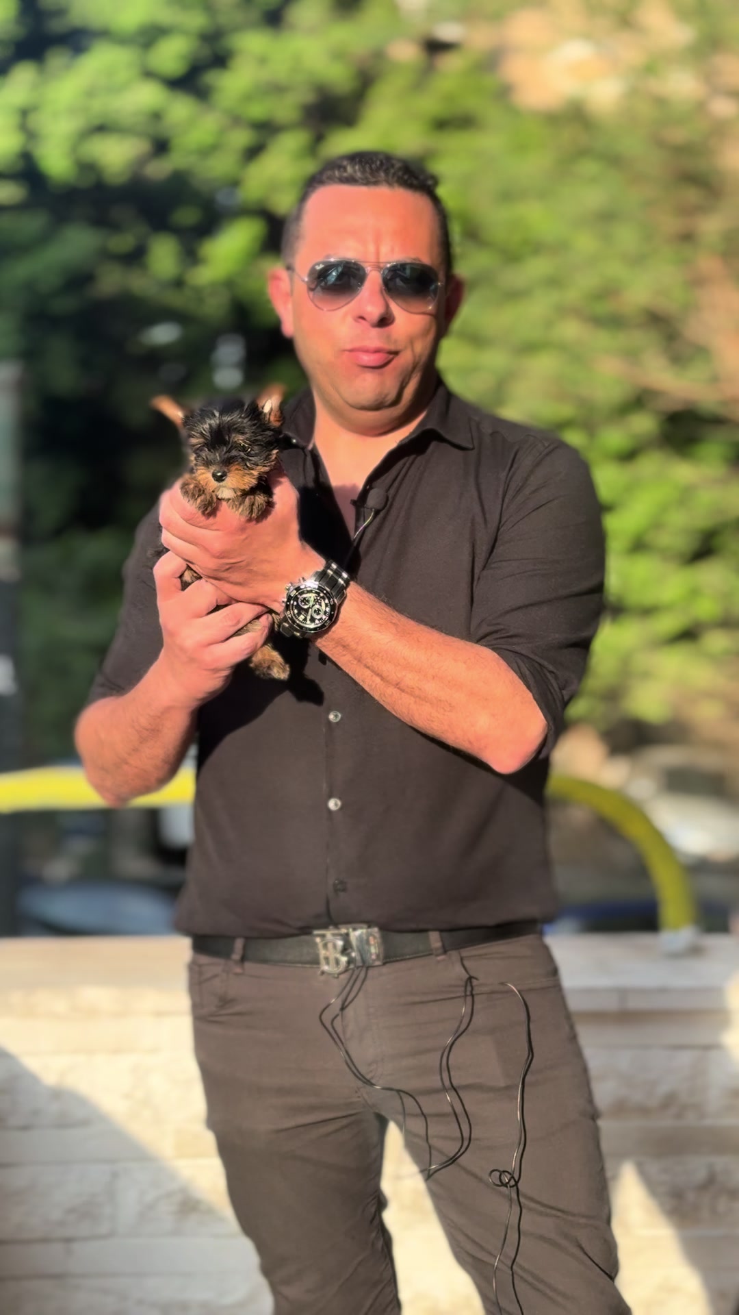 @Dogs Egypt - Ahmed Baher