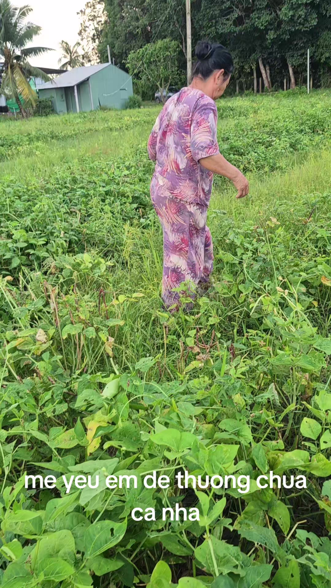 @Kim Vân🤣❤️🥰