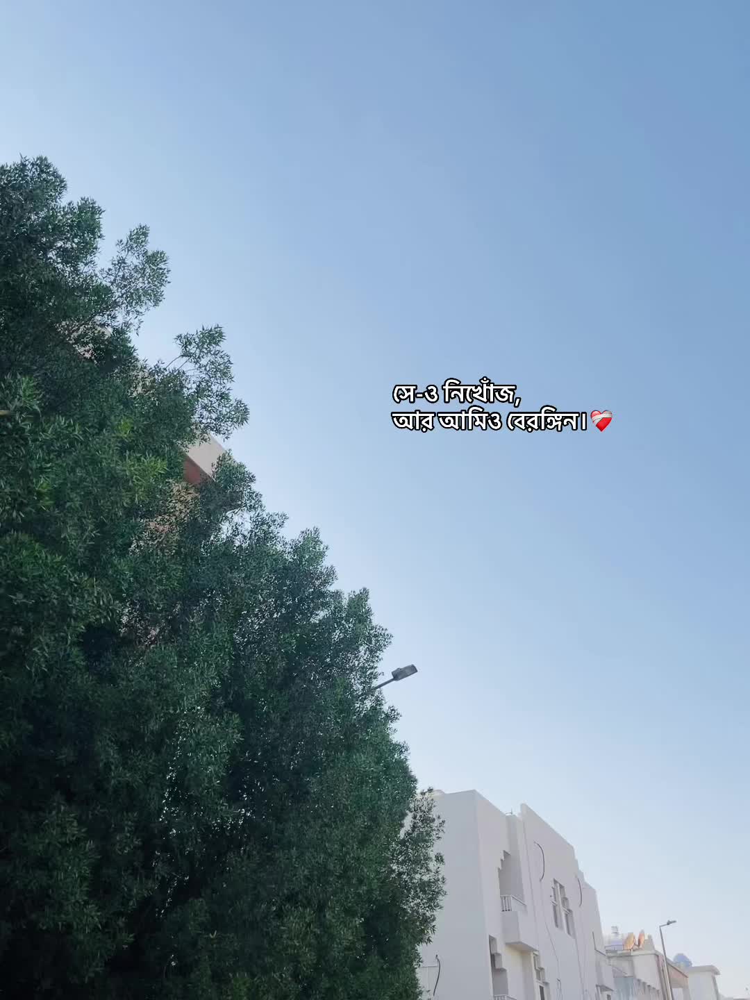 @đ đ đ đ đĨ đ¤đī¸